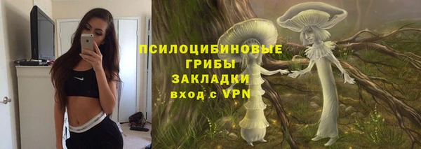 прущая мука Абаза