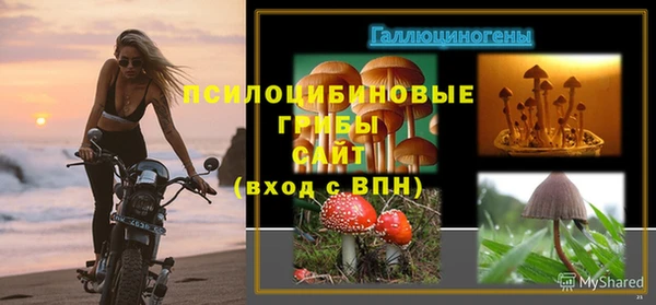 2c-b Абдулино