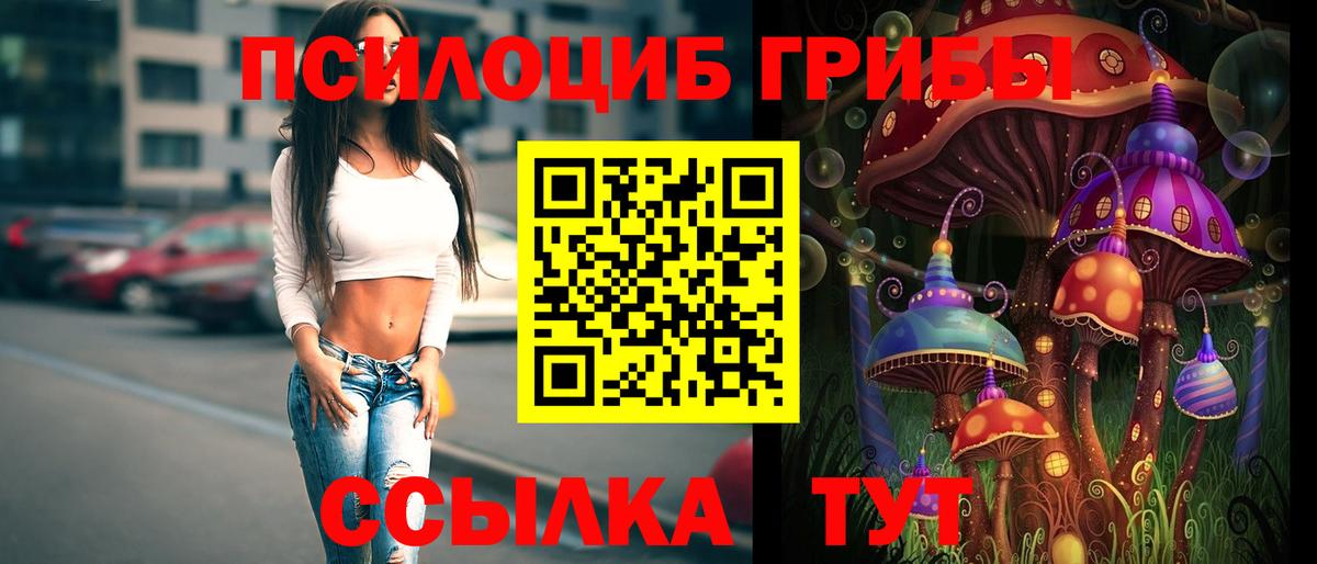 Псилоцибиновые грибы Cubensis Каменск-Шахтинский