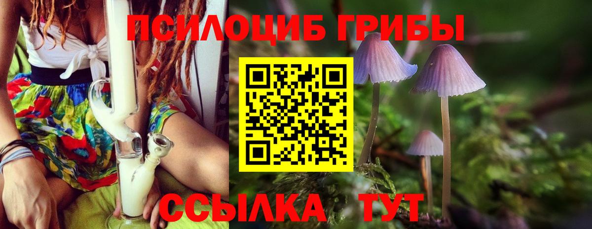 Галлюциногенные грибы Psilocybe  Вход с VPN  Каменск-Шахтинский  Псилоцибиновые грибы мицелий 