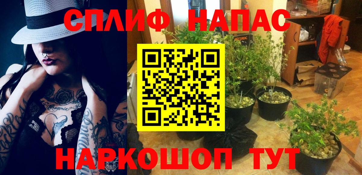 Каменск-Шахтинский  Каннабис семена  Бошки Шишки планчик  Вход с VPN  МАРИХУАНА план 